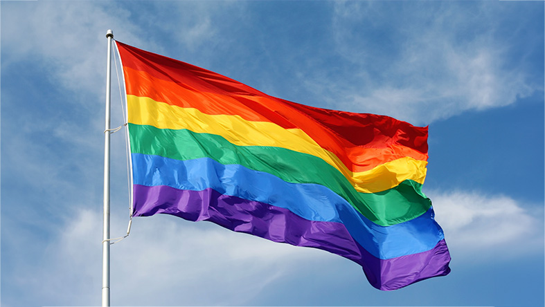 The rainbow flag representing LGBT pride